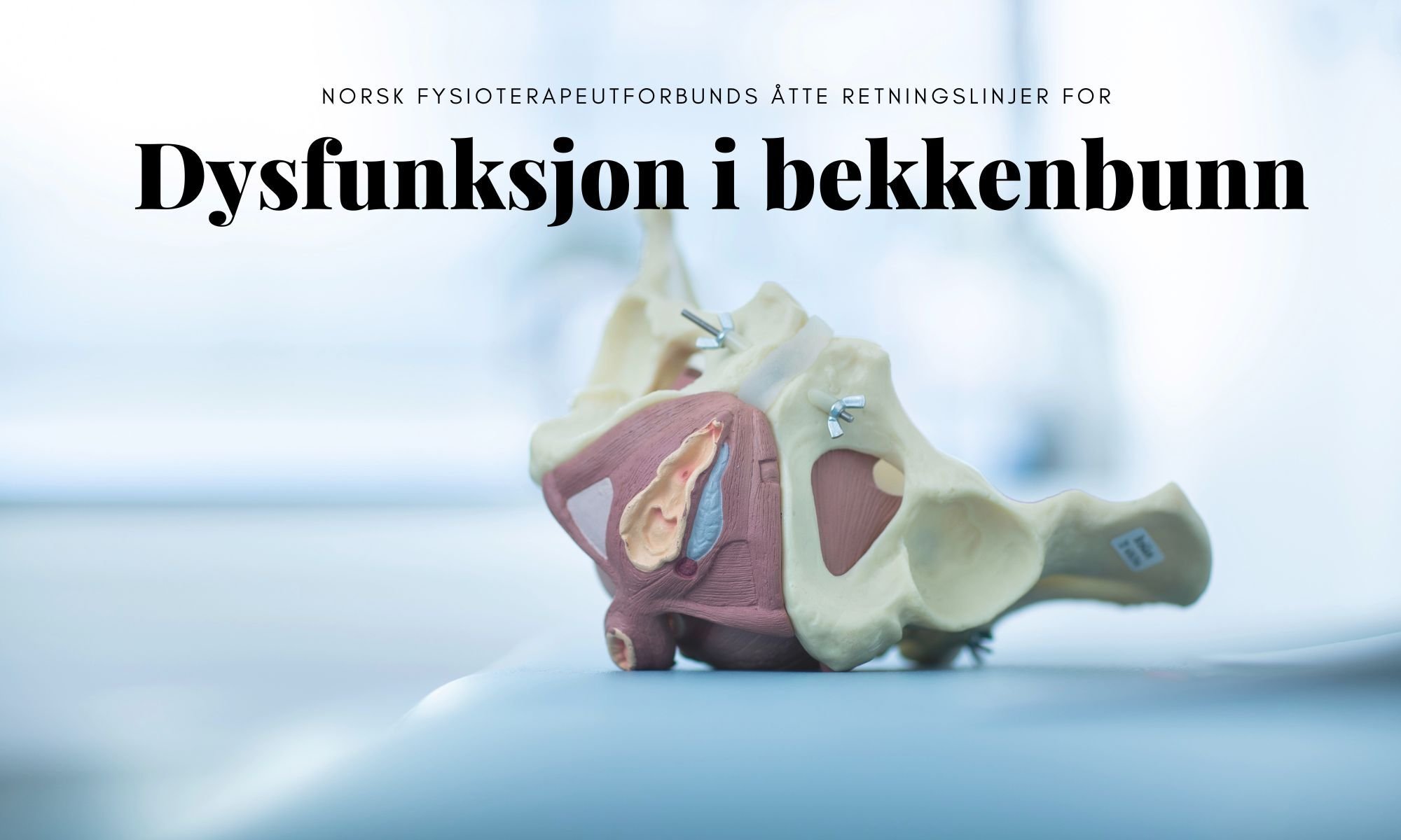 Dysfunksjon bekkenbunn