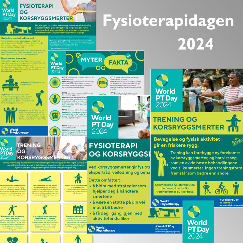 Fysioterapidagen 2024 - collage