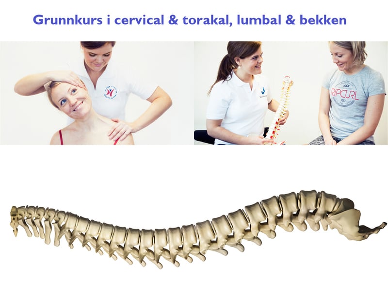 Grunnkurs cervical-torakal-lumbal-bekken_1000x768