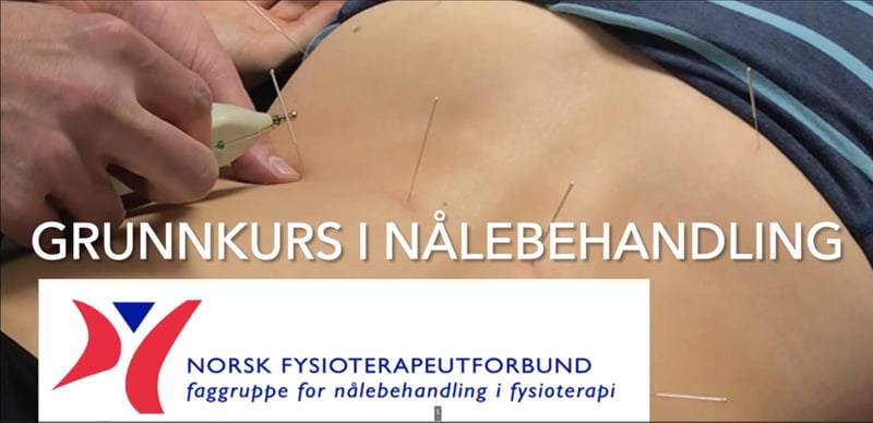 Illustrasjonsfoto grunnkurs nålebehandling