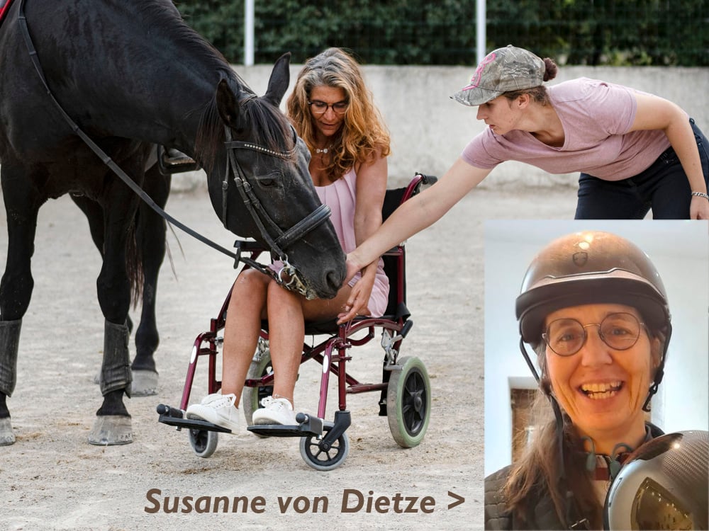 Ridefysioterapi_utsnitt_utan_ryttar_1000x750