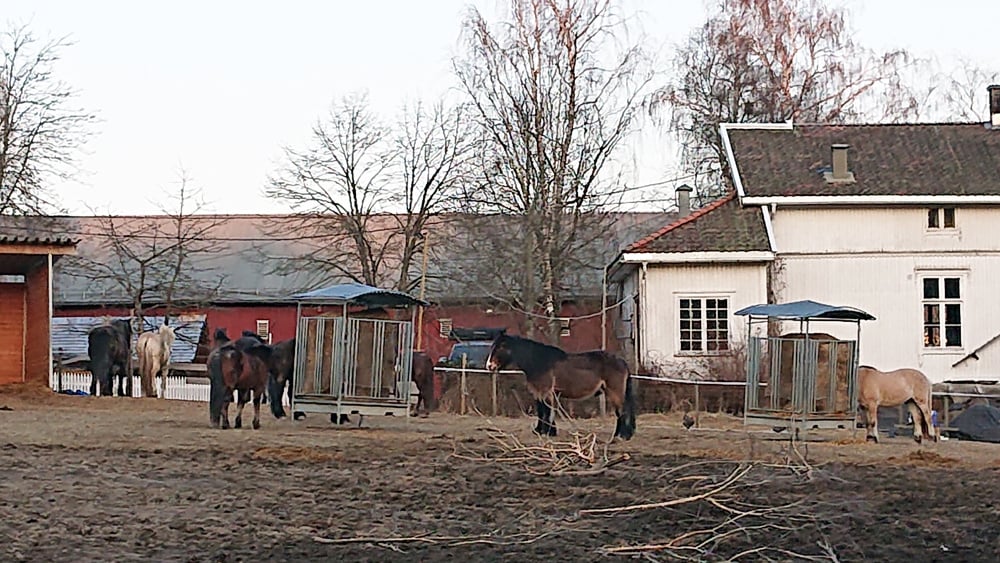 SøndreÅs_foring_lysna_1000x563